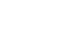 Evolution games at Black Lotus Casino